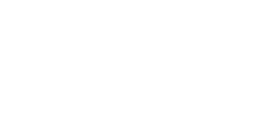 Logo Tetransforna en blanco